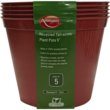 Ambassador Terracotta Plant Pots alternative