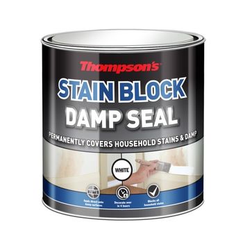 Thompson's Stain Block Damp Seal