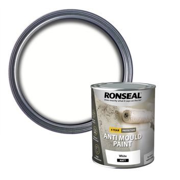 Ronseal 6 Year Anti Mould Paint 750ml