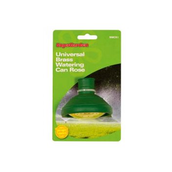 Ambassador Watering Can Rose