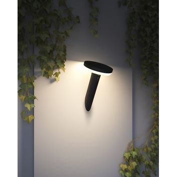 4Lite Antheia Solar Slanted Wall Light