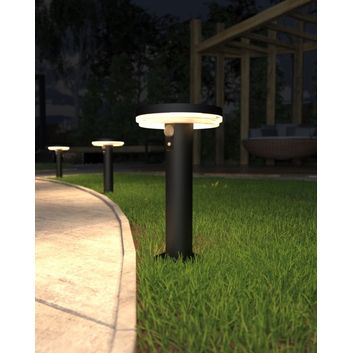 4Lite Antheia Solar Spike Light