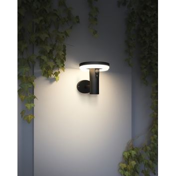 4Lite Antheia Solar Wall Light