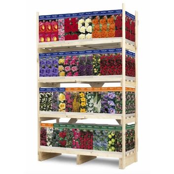 De Ree UK Roses and Shrubs