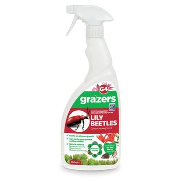 Grazers G4 Lily Beetles