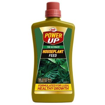Power Up The Ultimate Houseplant Feed