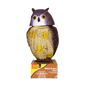The Big Cheese Wind Action Owl
