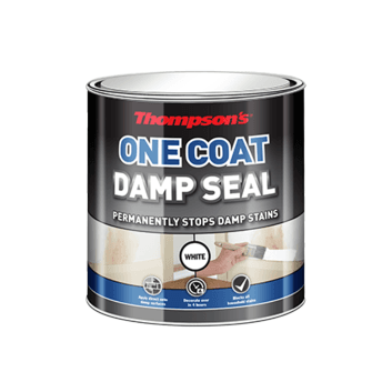 Thompson's One Coat Damp Seal