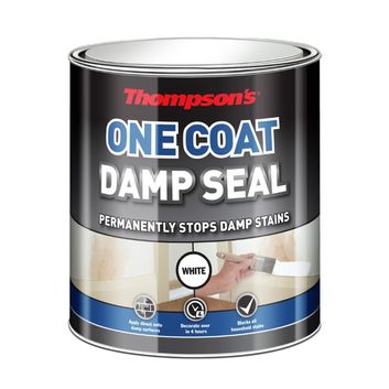 Thompson's One Coat Damp Seal
