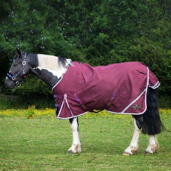 Gallop Trojan Xtra Duraproof 0g Lightweight Turnout Turnout Rug Burgundy alternative