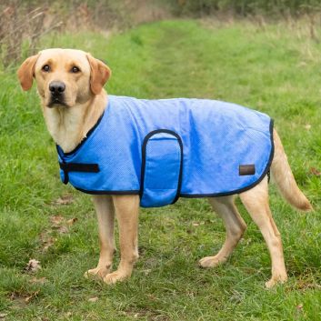 Benji &amp; Flo Cooling Dog Coat - XS alternative