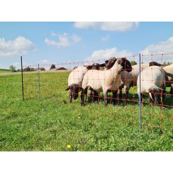 Support Post for Field Netting alternative