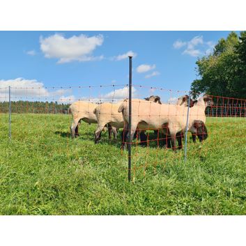 Support Post for Field Netting