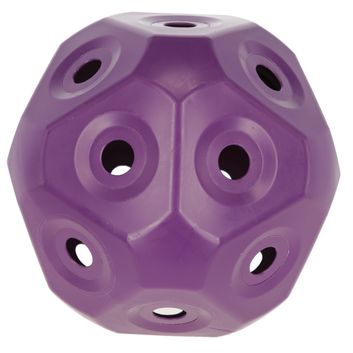 Kerbl Feed Ball Toy