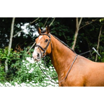 Mackey Classic Padded Flash Bridle alternative