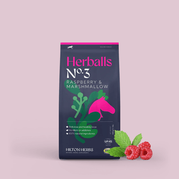 Hilton Herbs Herballs No 3