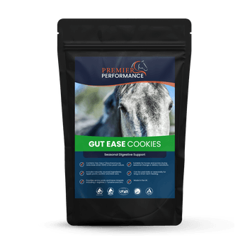 Premier Performance Gut Ease Cookies 10PK