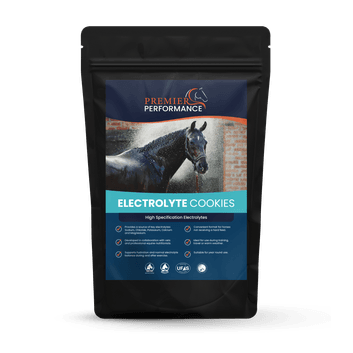 Premier Performance Electrolyte Cookies 10PK