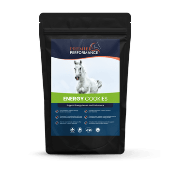 Premier Performance Energy Cookies 10PK