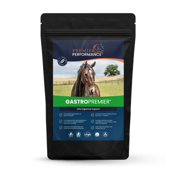 Premier Performance GastroPremier 30 Servings