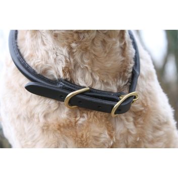 Mackey Rolled Leather Dog Collar Brown (X Small) alternative