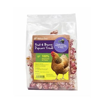 Natures Grub Popcorn Treat With Fruit