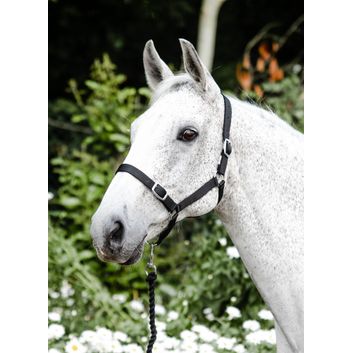 Economy Headcollar &amp; Leadrope Set
