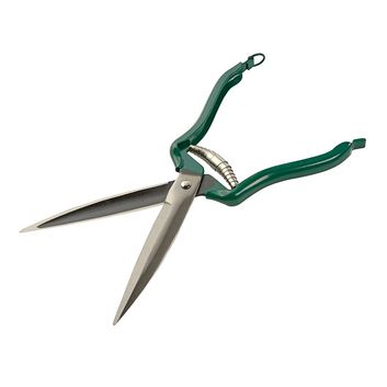Dressing Shear