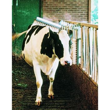 Vink Cattle Brush