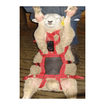 Matingmark No Mate Harness Attachment
