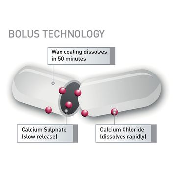 24-7 Calcium Cattle Bolus