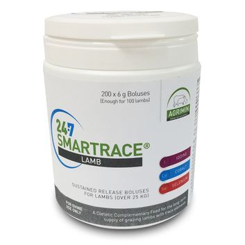 24-7 Smartrace Lamb
