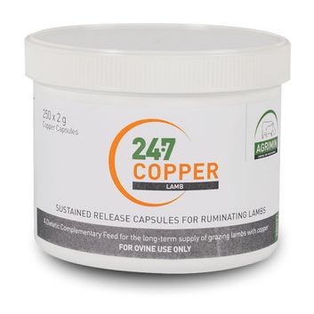 24-7 Copper Lamb Bolus