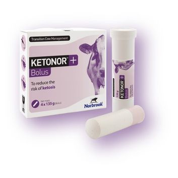 Ketonor