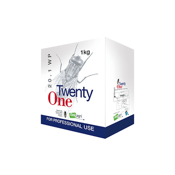 Twenty One