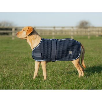 Mackey Thermo Dog Rug