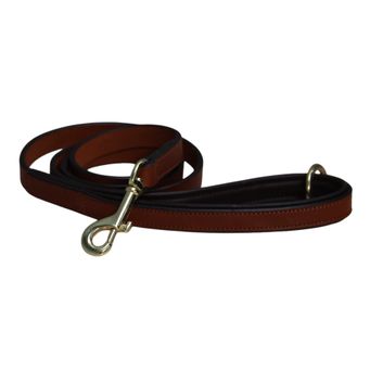 Mackey Padded Dog Lead