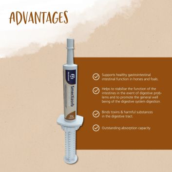Hestevard Smectizorb Paste alternative