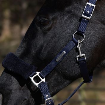 Whitaker Hc170 Leyburn Headcollar &amp; Lead Rope Navy alternative