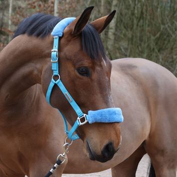 Whitaker Hc170 Leyburn Headcollar &amp; Lead Rope Turquoise alternative