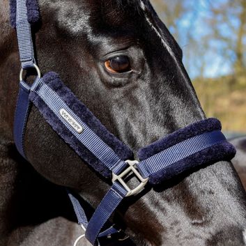 Whitaker Hc171 Holmfirth Furry Headcollar &amp; Lead Rope Navy alternative
