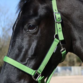 Whitaker Hc172 Pockley Padded Headcollar Green