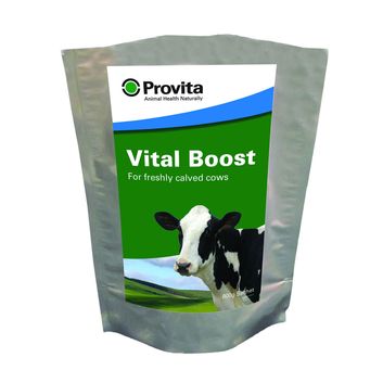 Provita Vital Boost alternative