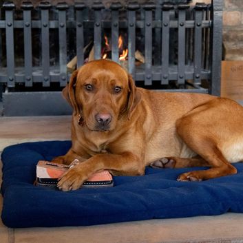 Benji &amp; Flo Country Dog Toys Deck Shoe