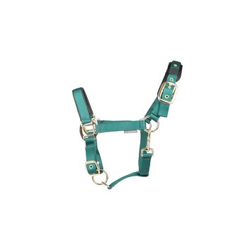Hy Equestrian Deluxe Padded Headcollar Bottle Green alternative