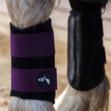 Gallop Gp Brushing Boots Purple alternative