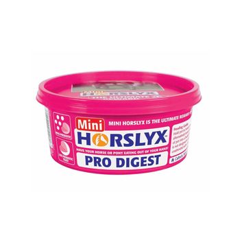 Horslyx Mini Licks Digestion