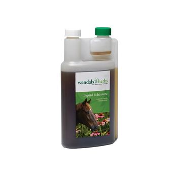 Wendals Liquid Echinacea