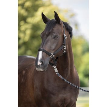 Nylon Halter Hippo, Cob