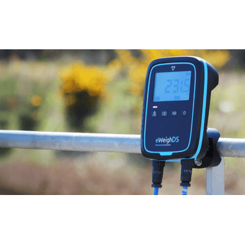 iLivestock eWeighDS Weigh Head alternative